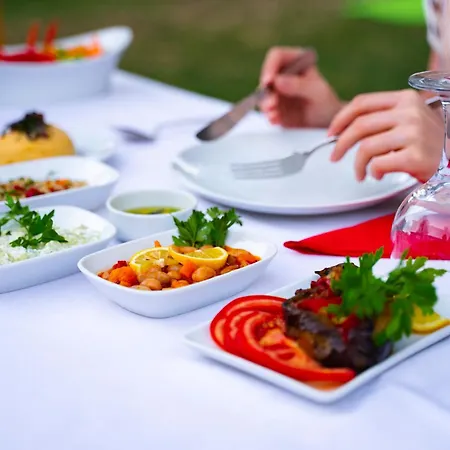 Hotel Yiva Kazdaglari *