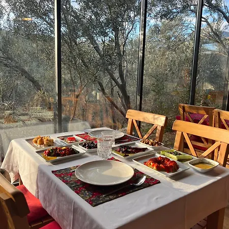 Hotel Yiva Kazdaglari *