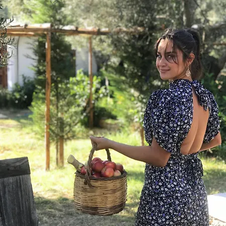 Yiva Kazdaglari * Mehmetalani