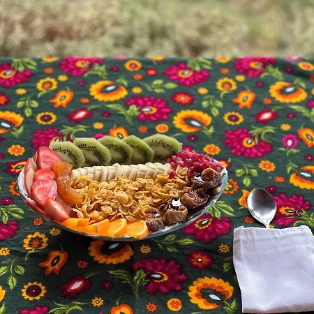 Yiva Kazdaglari *