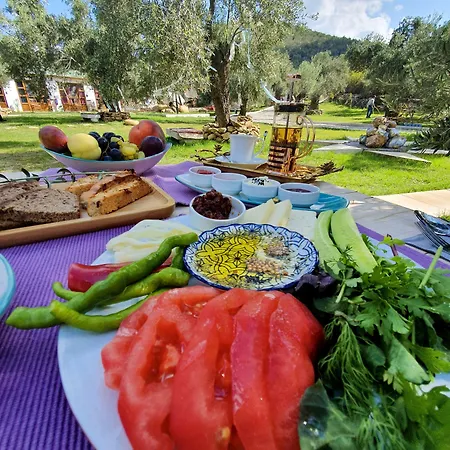 Yiva Kazdaglari * Mehmetalani