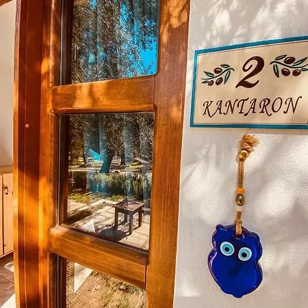 Yiva Kazdaglari *